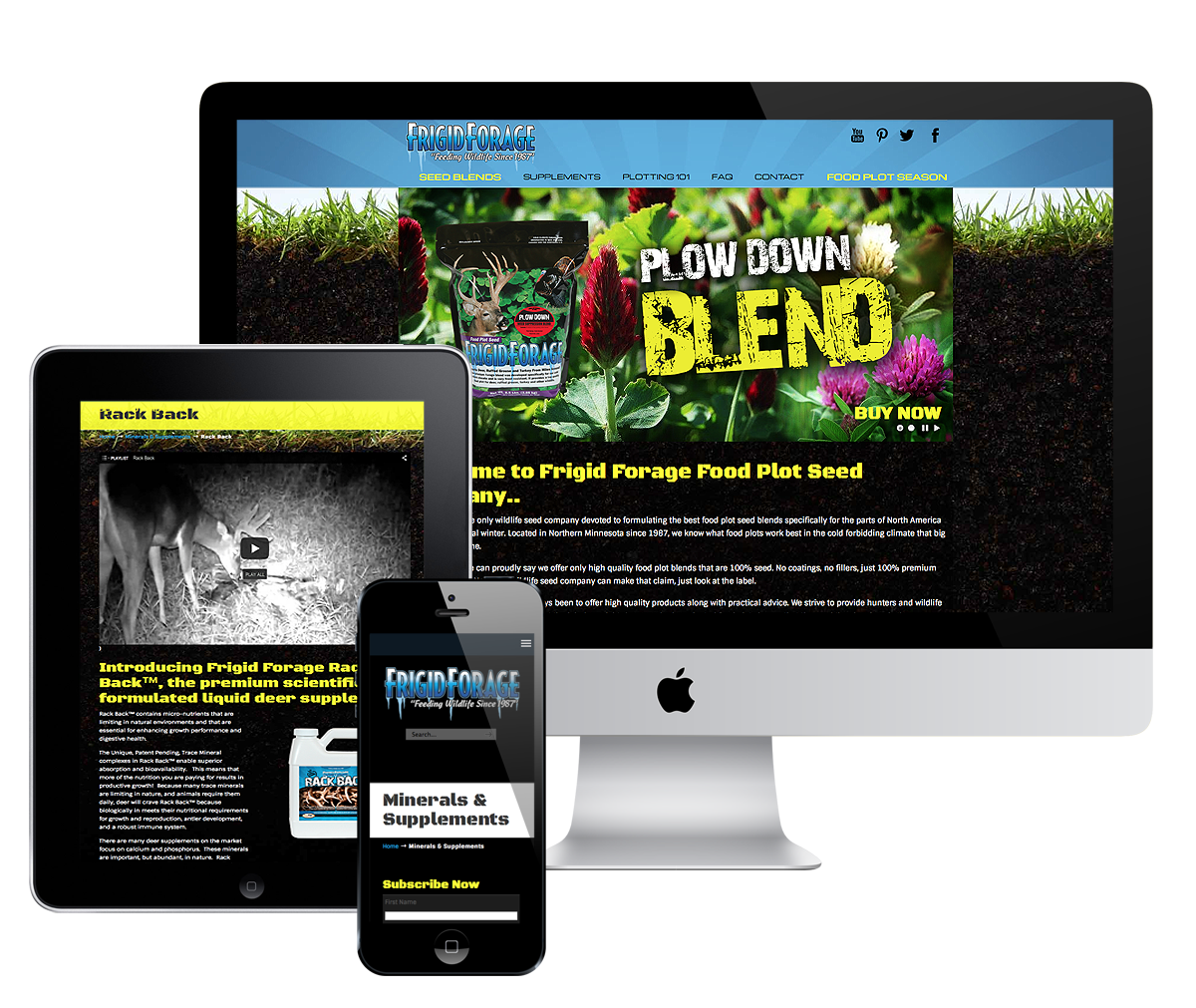 frigid-forage-portfolio